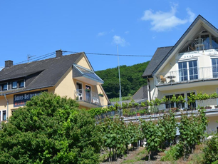  Weingut Sauer – Kettermann