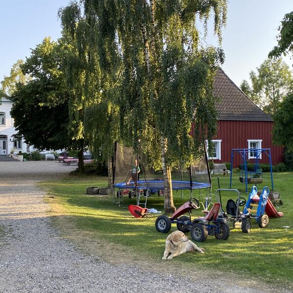 Ferienhof Messer Ostsee Schlei Bauernhof Ponys Wohnungen und Haus 4-8 Personen