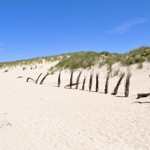 Ferienwohnung Krabbenkutter