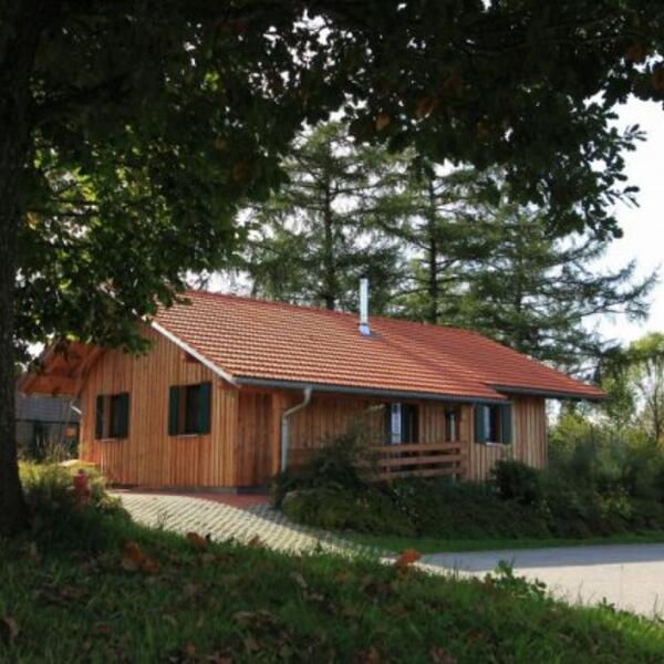 Urlaub mit Familie, Hund und Pferd