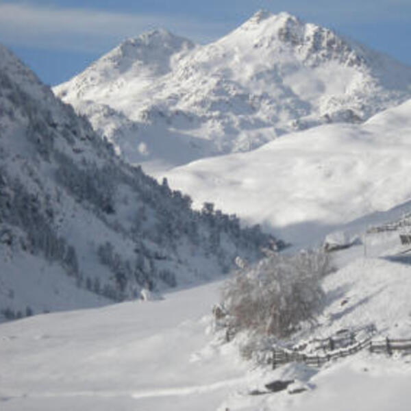 Appartementhaus Anny