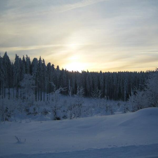 Ferienwohnung Ausblick