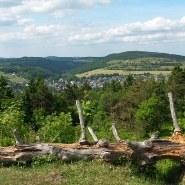 Ferienwohnung Ausblick