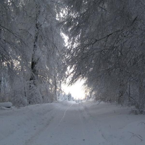 Ferienwohnung Ausblick