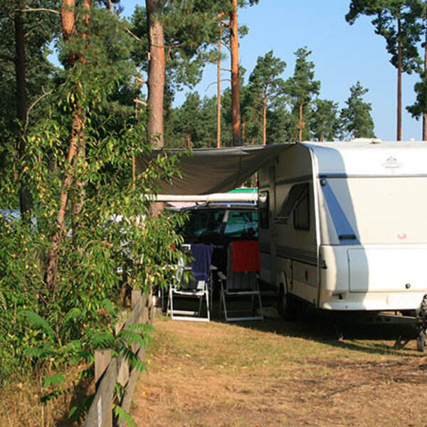 Campingplatz Bundspecht
