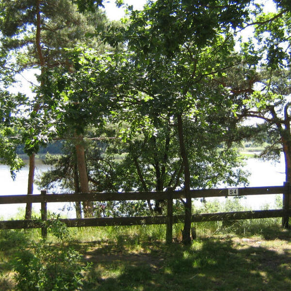 Campingplatz Bundspecht