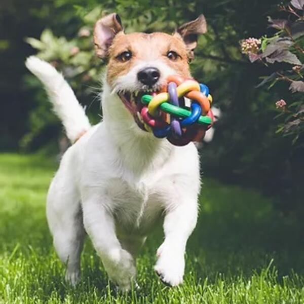 Pension Zum Rheinsberger Leuchturm