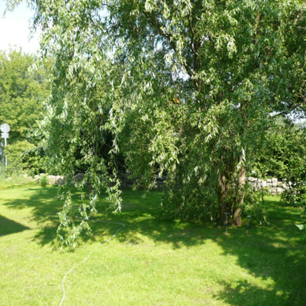 Urlaub im Ferienhaus Berlin