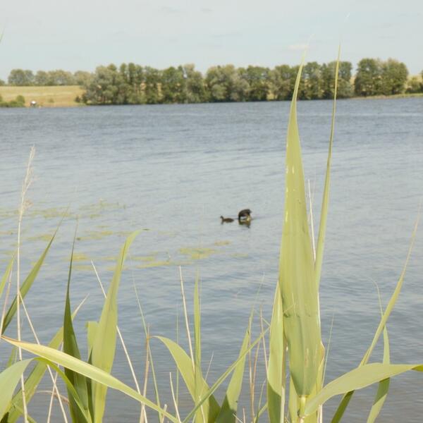 Ferienhaus am Jabeler See