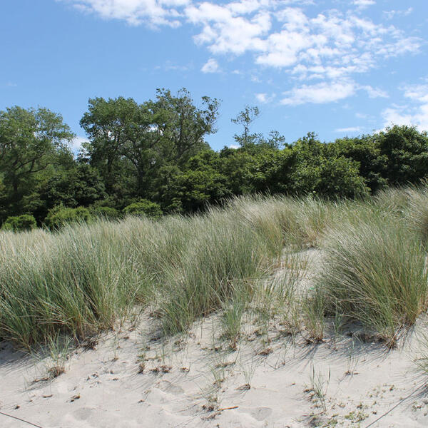 Ferienhaus Radmer Poel