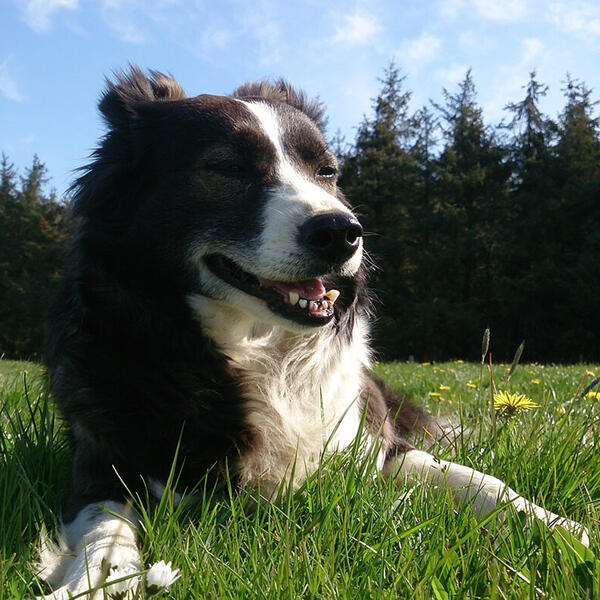 3 & 4 Sterne Ferienhof Gravert