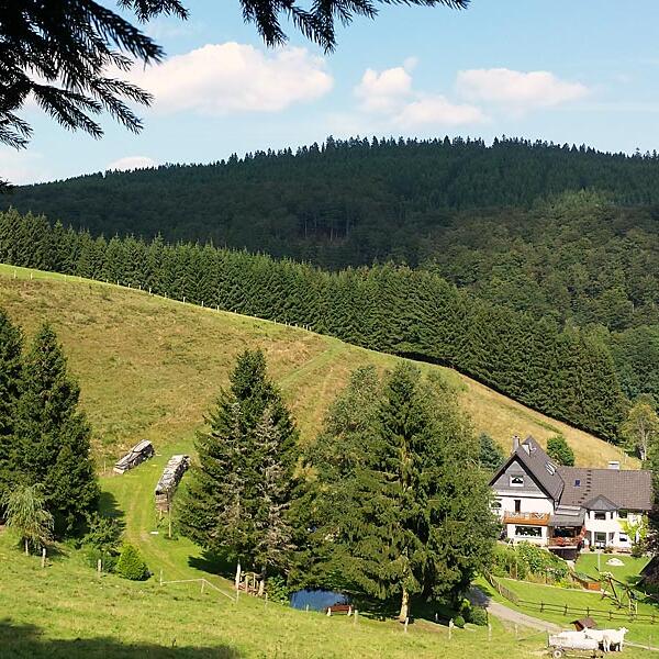 Ferienwohnung Dickel-Schlade