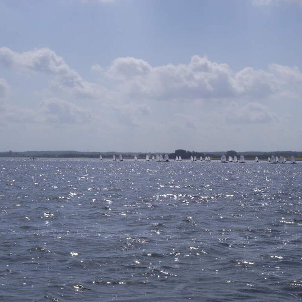 Ferienwohnung - Eldena