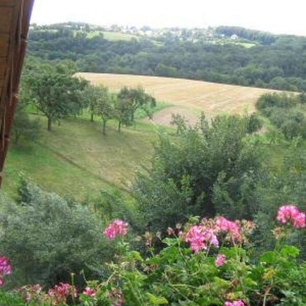 Ferienwohnung Mund in Dresden