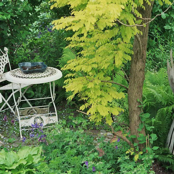 Ferienwohnung und Gästezimmer in Rotenburg/Wümme