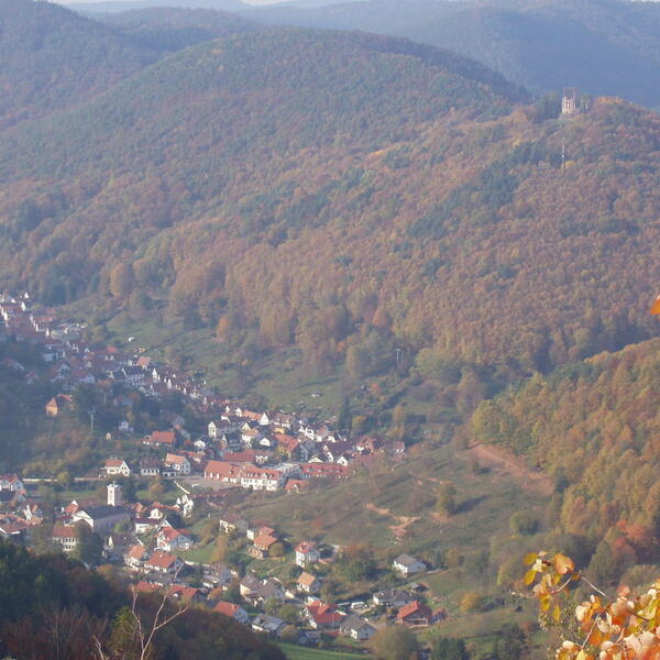4 Sterne Ferienwohnung Steiner