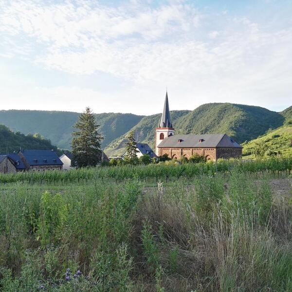 Ferienweingut Klein Götz