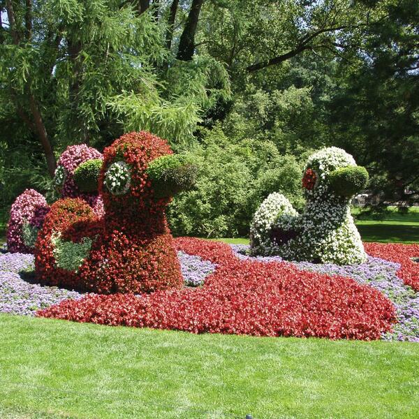 Pension Haus Riefler