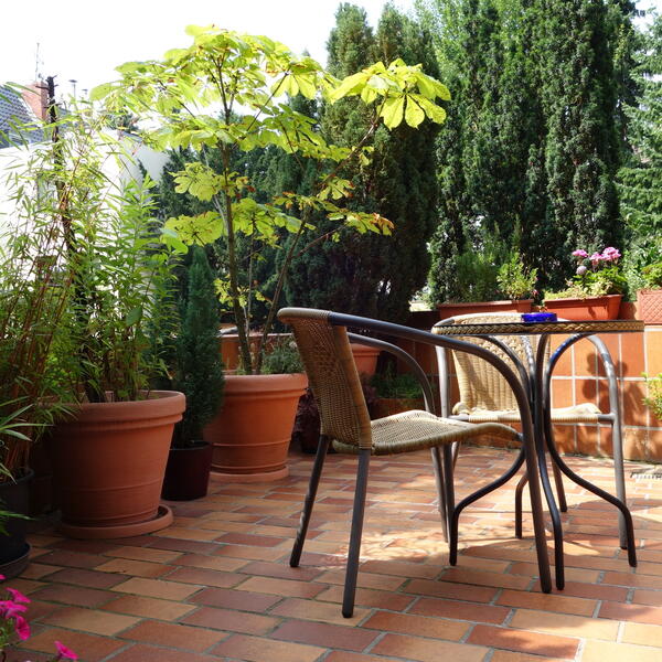 Pension am Helenenwall