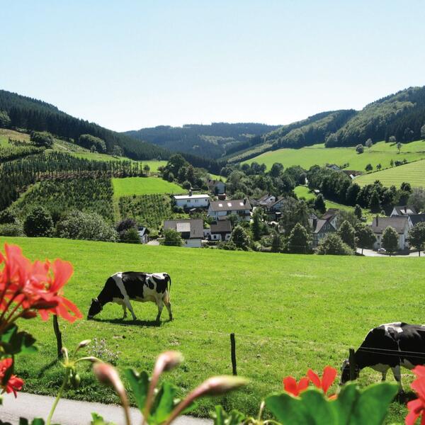 Bauernhof Familie Gördes