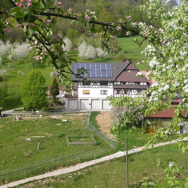 5 Sterne Jägerhof Benz