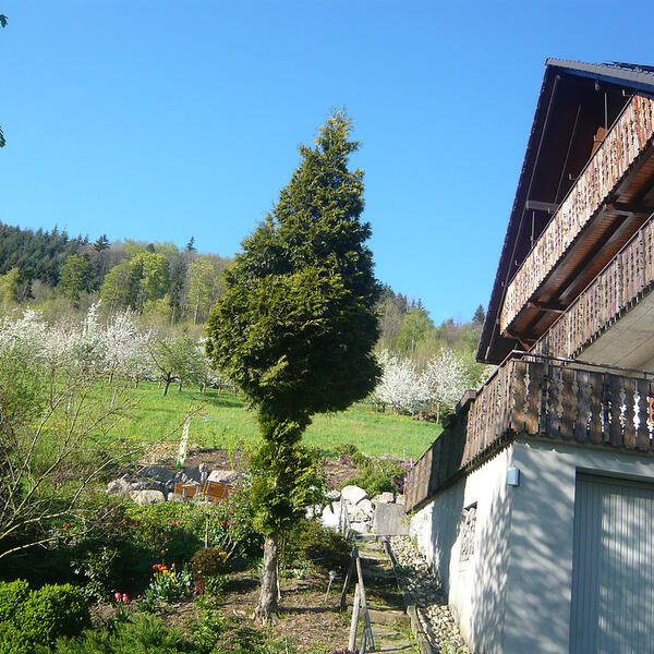 5 Sterne Jägerhof Benz