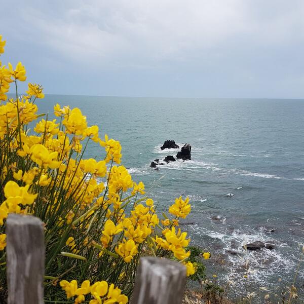 Ferienhaus Nagel in Cap d'Agde Südfrankreich