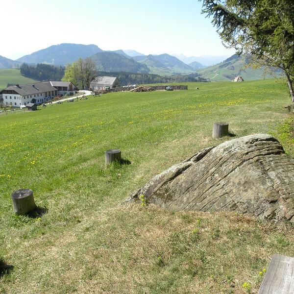 Urlaub am Bio-Bauernhof - Mitterhirschberg