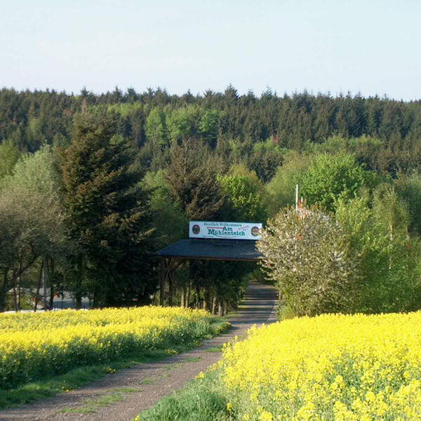 Camping-Mobilheimpark "Am Mühlenteich"
