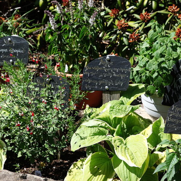 Camping-Mobilheimpark "Am Mühlenteich"