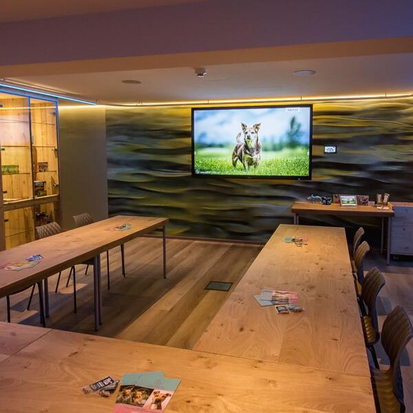 Urlaub mit dem Hund im 4 Sterne Hotel Magdalena