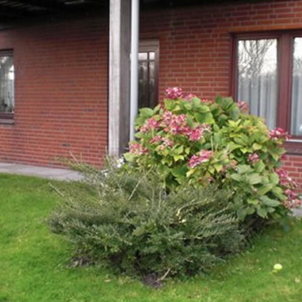 Ferienwohnungen Marschenblick