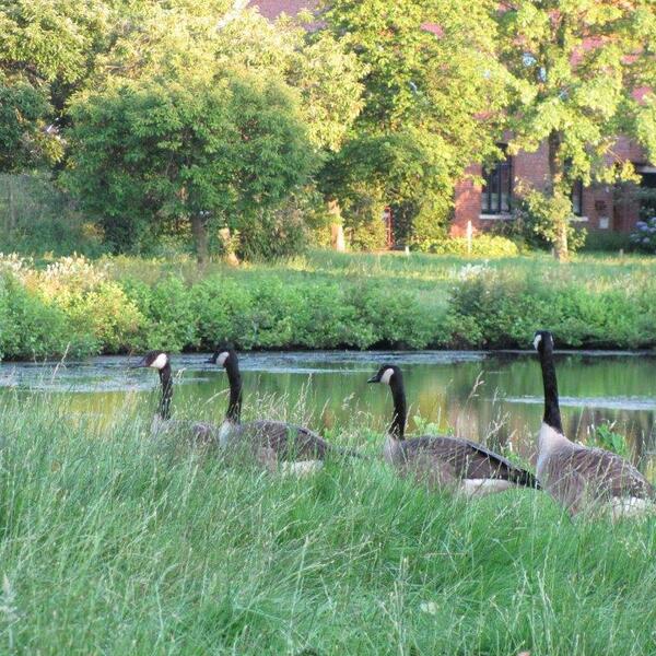 Ferienwohnung Münkeland