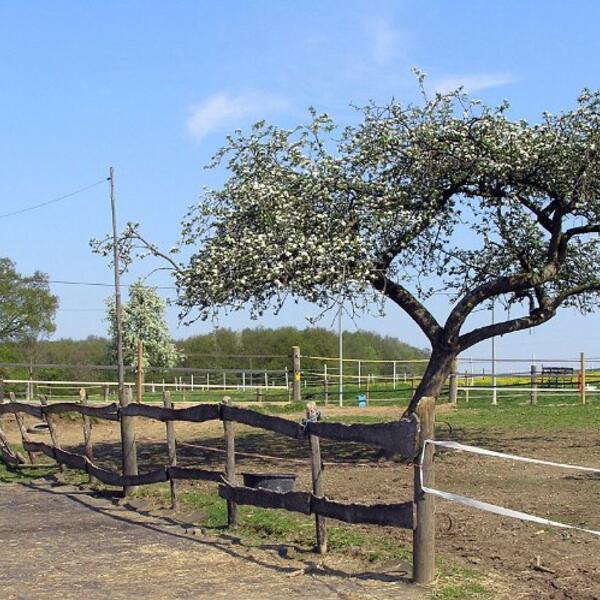 3 Sterne Paffratherhof