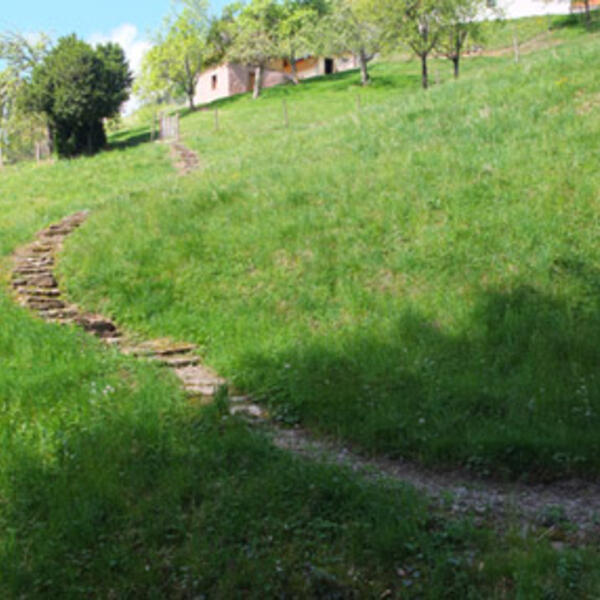 Paradies im Schwarzwald
