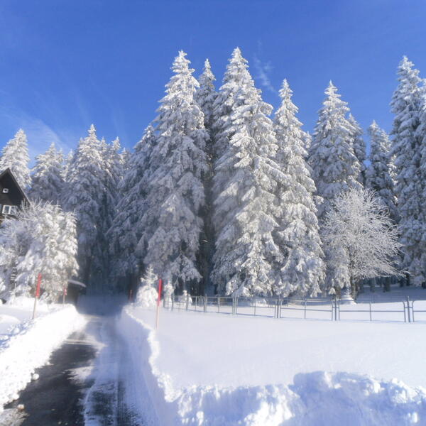 Landgasthof Schmitt & Pension Gemsennest