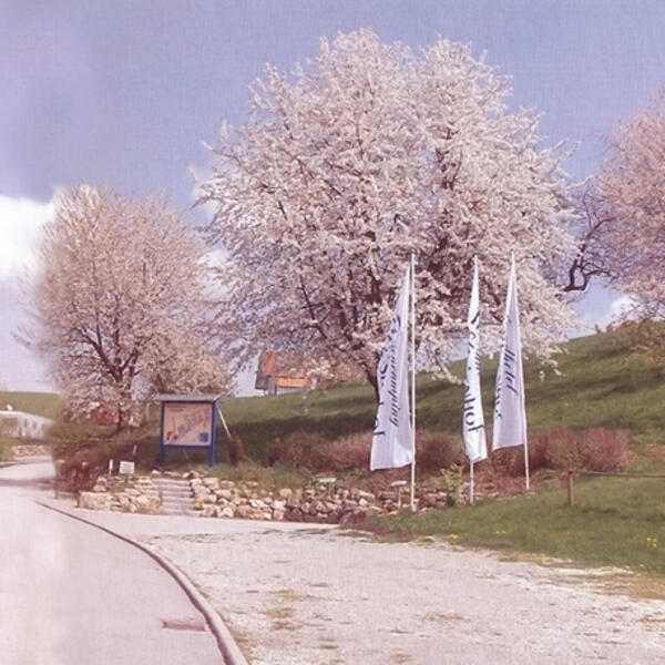 Terrassencamping Theresienhof