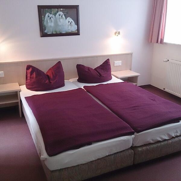 Pension "Schwalbennest"