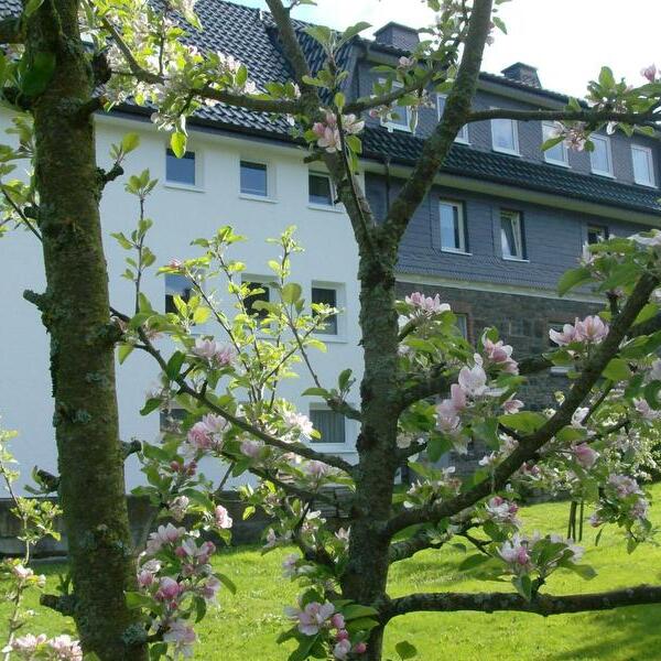 4 Sterne Pension Schweinsberg