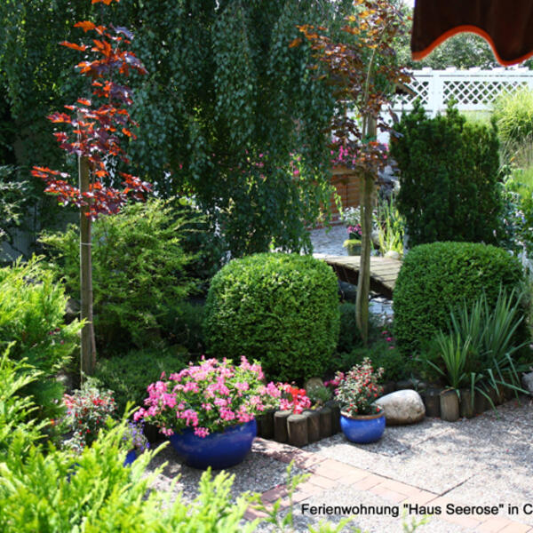 Ferienwohnung Haus Seerose