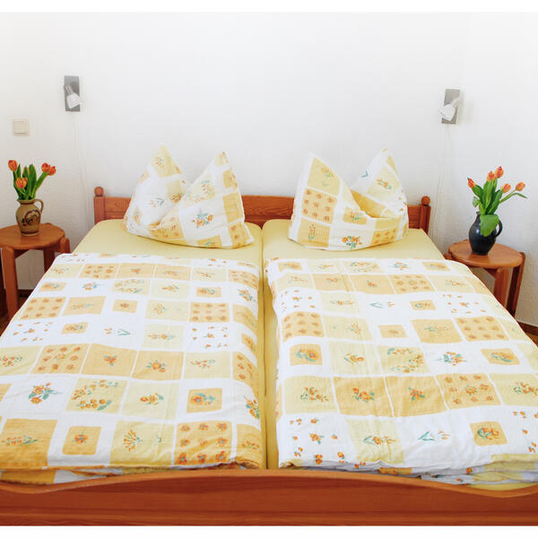 Pension Alter Zausel