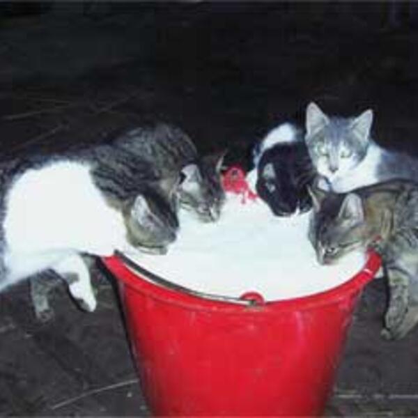 5 Sterne Eifelhof Sohns