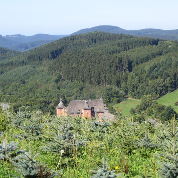 Ferienwohnungen Haus Sonnenblick