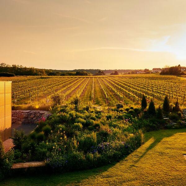 StephanO Das-Wein-Gut - Gästezimmer