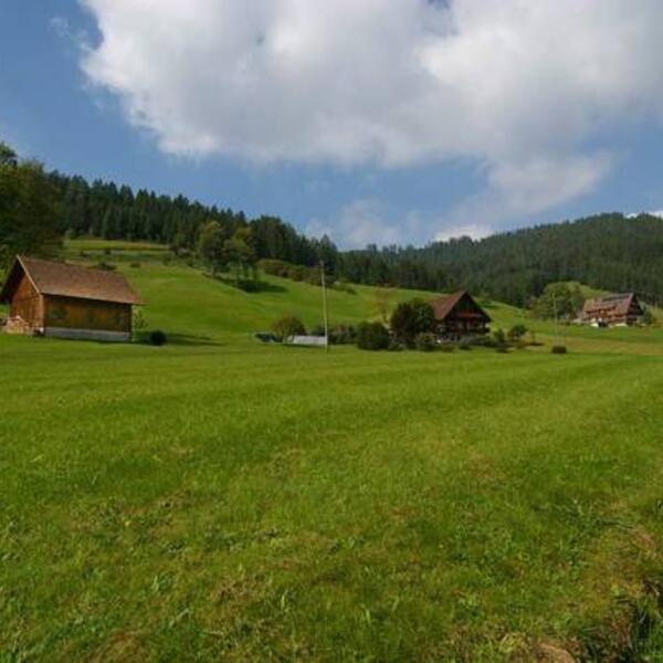 Ferienwohnung Am Sulzbächle