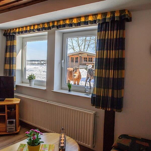 Reit- und Ferienanlage Tannenhof