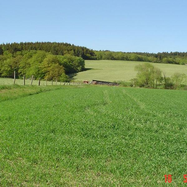 Reit- und Ferienanlage Tannenhof