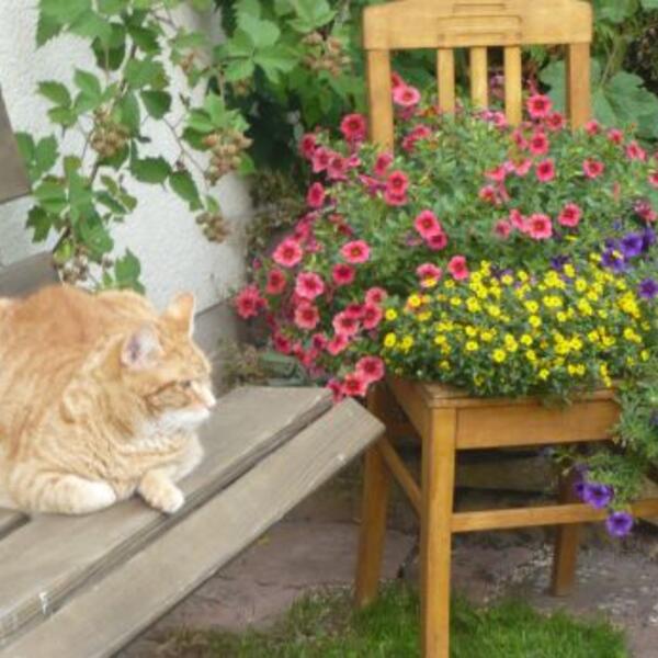 3 Sterne Ferienhaus Monika