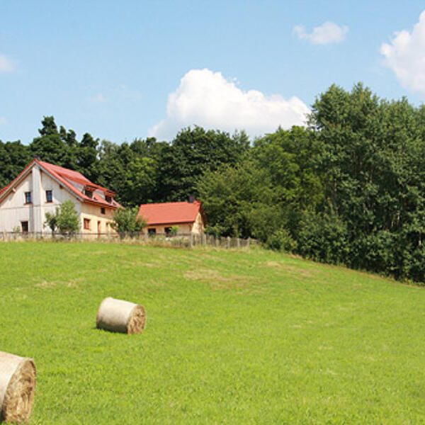 Waldhaus am Lilienstein