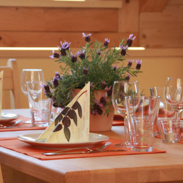 Waldhaus am Lilienstein